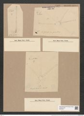 Asterionella gracillima (Hantz.) Heib. (de-Toni-Nr.: Genus 70, Species 2692) Zeichnungen Sammlung Grunow Nr. 5522 (NHMW-BOT-W0373971)